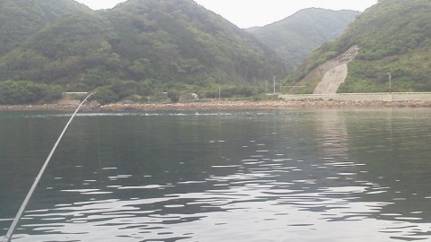 wwecysxmcrvk9peedsg3_480_480-c0865a70.jpg