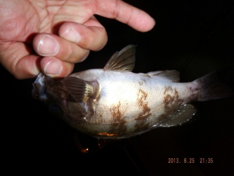 wwffzk52p34htvje5jdo_920_690-28638825.jpg