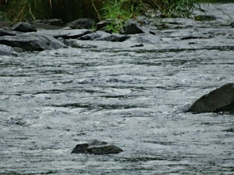 wwhk2wr8ft9ncuc8k3bw_920_690-30158b04.jpg