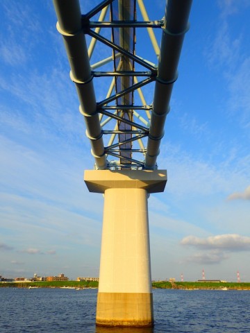 wwij9fmp9jgxz5gyj8n4_480_480-be0dd100.jpg