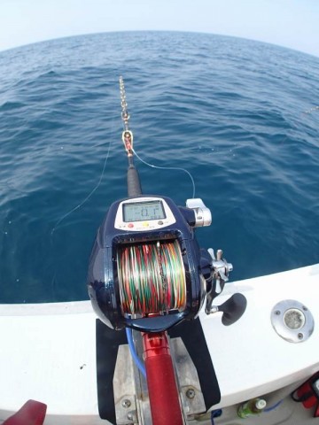 wwti93b22m8y8634hpdh_480_480-bf0ab557.jpg