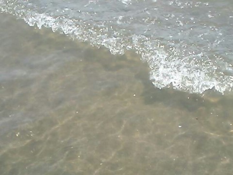 wwxsvp885y4mxjtfpkxs_640_480-47205146.jpg