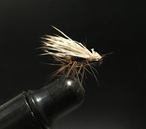 wwxydyp2f4yti24wfmen_480_480-292010b2.jpg