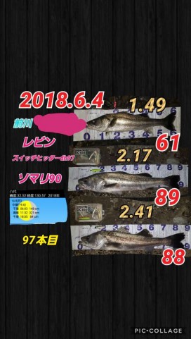 wxovrwhm2isszbya5c4g_480_480-6811e8e4.jpg