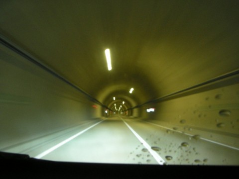 wxtfxbik5jxuo5y54963_480_480-4fc7452e.jpg