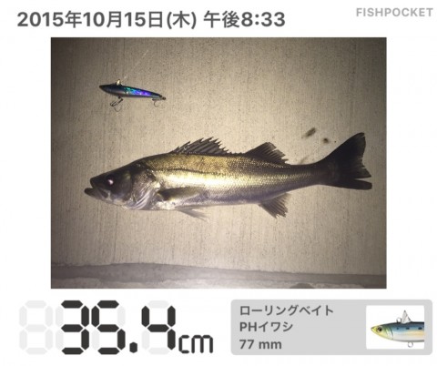 wxtkheos3yzt8xeyfceo_920_771-6bbcf809.jpg