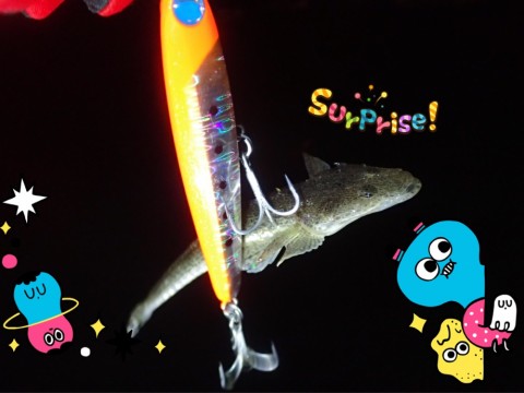 wxyai2t7nbdh2t2m6hox_920_690-b1912869.jpg