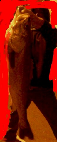 wyedm628t2i8wt2ghyom_371_920-4531b82d.jpg
