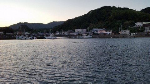 wyfot9u4ktoekio32i7g_480_480-dc0f77fc.jpg