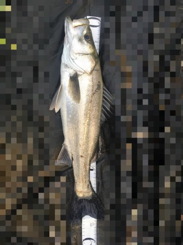 wyk7cgnmrghrz5vjwy5s_690_920-8c07b266.jpg