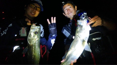 wymmuzxcwon25ggcbpzd_920_518-ffe39ed6.jpg