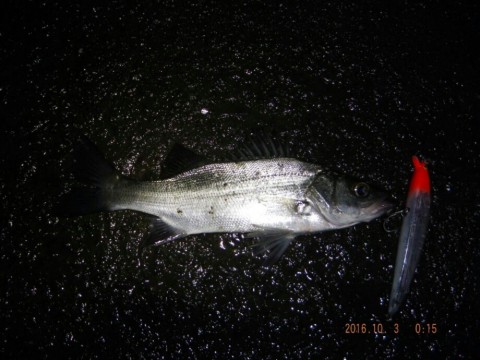 wysvpwvzjmuk6hu455nr_920_690-3fc2c523.jpg