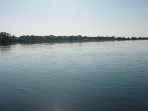 wz4mnm6yyseepbsc2zdh_480_480-49d5c585.jpg