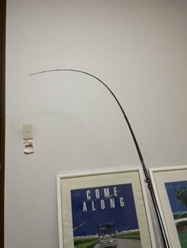 wzbf2hy5344j7wt9k5ya_361_480-e7d3c2ec.jpg