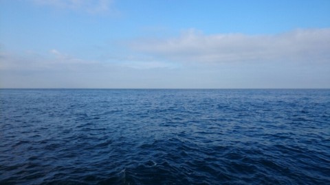 x223fbo7787uazyk5ryn_920_518-56d28f0c.jpg
