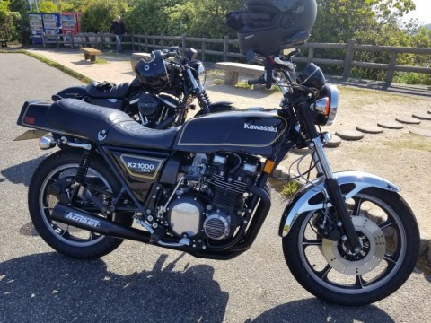 x238skpap9c3yrugrvsh_480_480-d01c9791.jpg