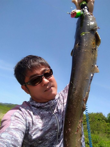 x26w2fmw4rcbm2z63kwv_480_480-1d8ba49e.jpg