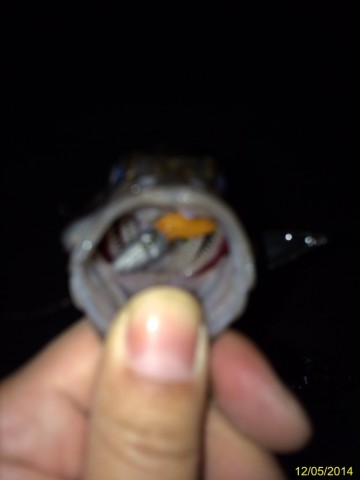 x27px47nximahy8kjnww_690_920-1f1399de.jpg