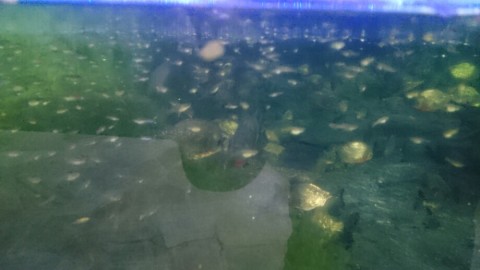 x2btdhbrxtyyitwk3ycd_920_518-7dc9d421.jpg