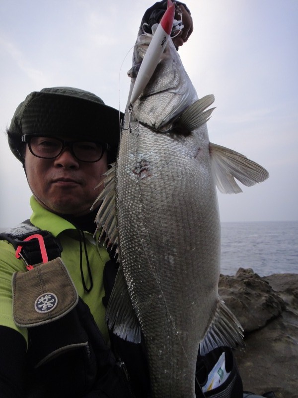 マルカ裏海遊記 夏のヒラスズキを釣らせます企画 その１