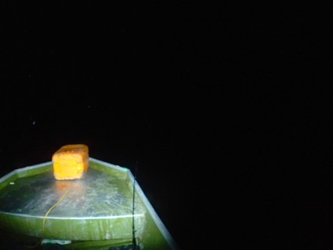 x3awecogisddkrm47vvk_480_480-8116ba72.jpg