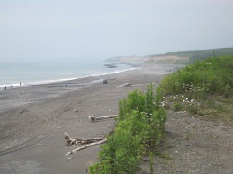 x3o2nuwok2kmfy5iaknr_480_480-36f53aaf.jpg