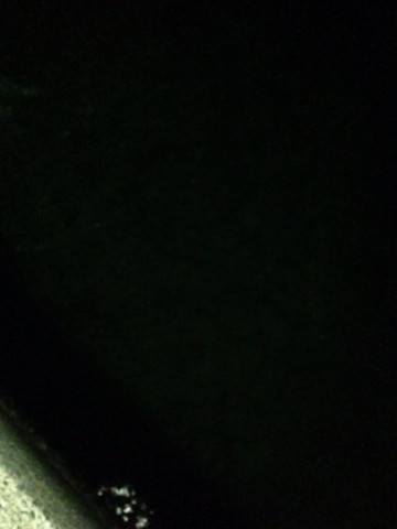 x3z8798295rwcsbveks5_690_920-5bf91204.jpg