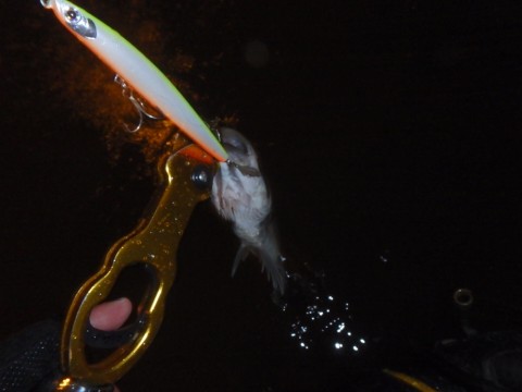 x43zjxd5agp5ehixtnes_920_690-0ed86518.jpg