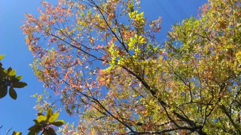 x4arugm6ootr32c3uaij_480_480-c30f778e.jpg