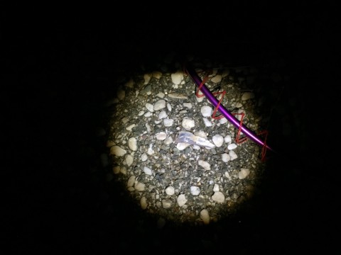 x4dz95o22b5zdp57jtz7_920_690-a104e47a.jpg