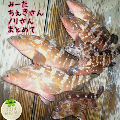 x4fixsei2fs4pnatifcd_920_920-98e32f46.jpg
