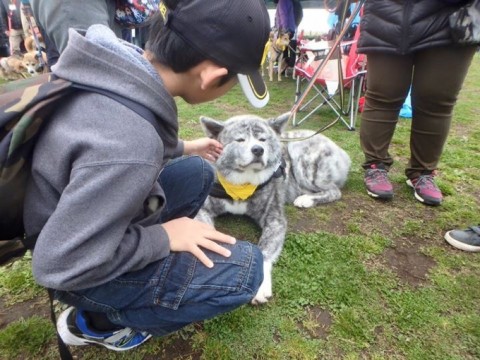 x4wsmmdzgput78pmo2av_920_690-d90a1756.jpg