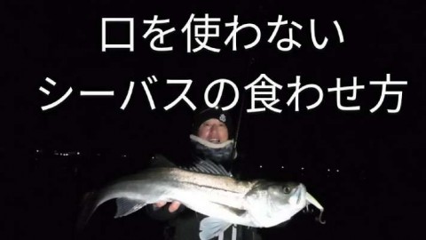 x4yg4onmx27xytdh8o2p_480_480-c588d181.jpg