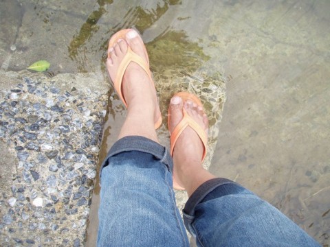 x4zhpzz8b4v467dp5vii_480_480-cec809be.jpg
