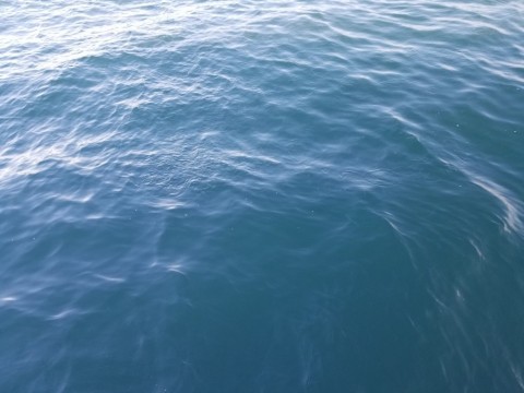 x522jukrg5wa63i7pt7n_480_480-7af86608.jpg