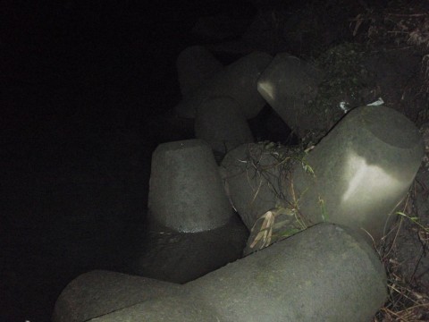 x5fzdftzjx4vbt9gc7nz_480_480-33497277.jpg