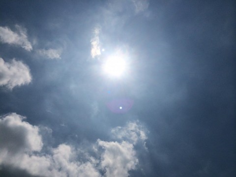 x5oro97784cxh2nscgod_480_480-a622c792.jpg