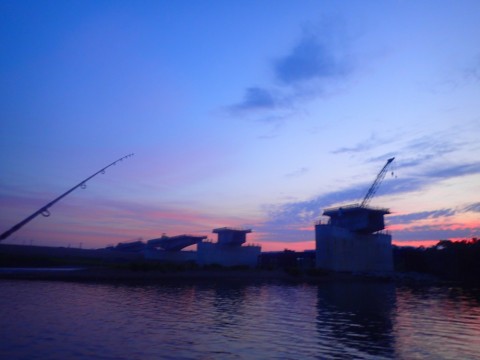 x5uayv6jk5w498irnspf_480_480-789b2358.jpg