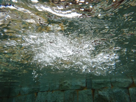 x6934vn9netn93kwfenv_480_480-307458ab.jpg