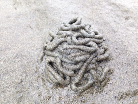 x6h25mtpypuinkkgu7c8_480_480-736516b5.jpg