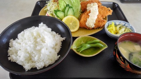 x6m33jg29iaksan3fvp7_480_480-fc28d616.jpg