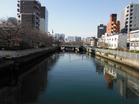 x6utzwp3a7u468y57h9x_480_480-ac8d54f1.jpg