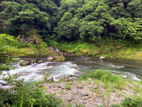 x7579czxctu568n622jf-fa050e59.jpg