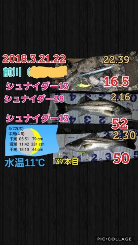 x76or9m7sxr6ktogd44b_480_480-8480b2f0.jpg