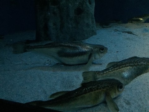 x77ne45jvjo269xte7vh_920_690-743087d2.jpg