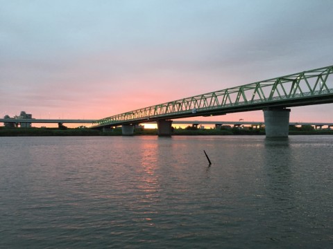 x7f2md2wh6upfen9crn5_920_690-f989a927.jpg