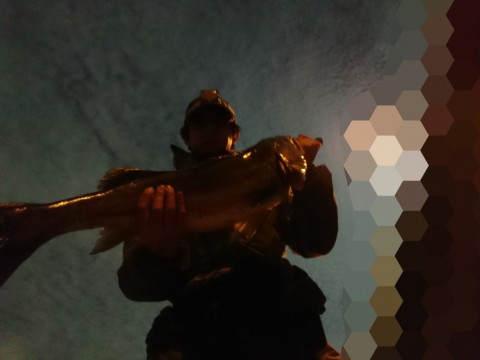 x7i7vhb2cn9kacxe97nj_480_480-f3d53545.jpg