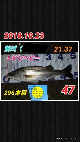 x7m8odpfw8npechnanmj_480_480-27854322.jpg