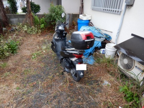 x7mx5cjdkvpa524hbj7f_480_480-4791e23e.jpg