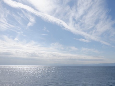 x8959dfdh3j95axrffep_480_480-498844c0.jpg